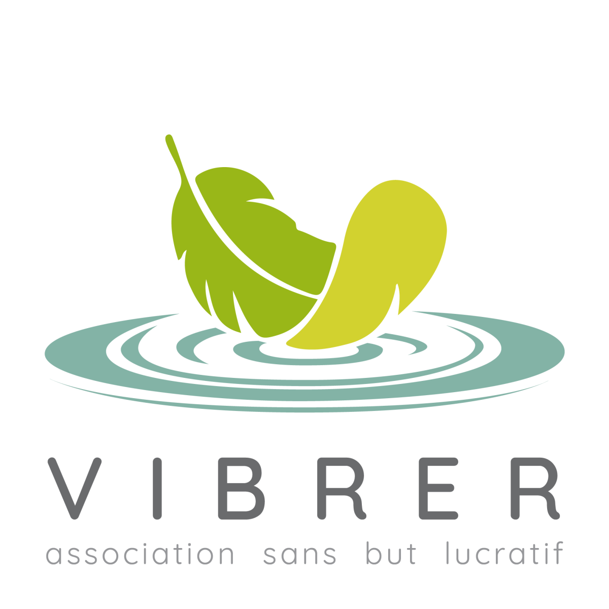 VIBRER asbl